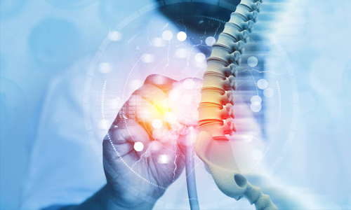 D7 Med Multi Speciality Clinic services, d7 med services, multi-specialty healthcare services, medical treatments Bangalore, general medicine doctor Bangalore, cardiology services Bangalore